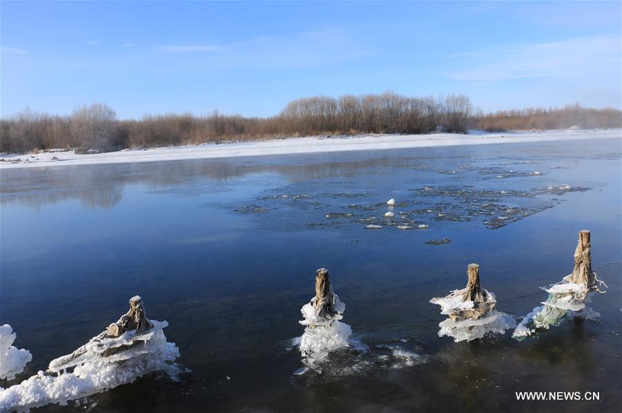 Photo taken on Nov. 21, 2015 shows the winter scenery near a river in Greater Khingan range in northeast China's Heilongjiang Province