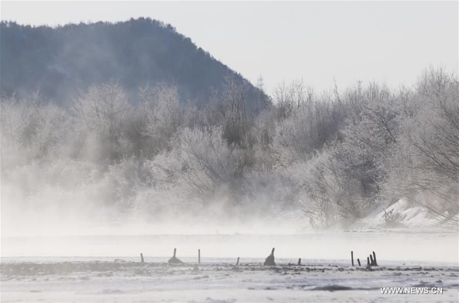 Photo taken on Nov. 21, 2015 shows the winter scenery near a river in Greater Khingan range in northeast China's Heilongjiang Province