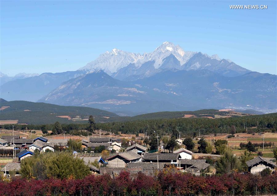 Photo taekn on Nov. 24, 2015 shows a distance view of Tianhong Village, an residential inhabit of Naxi ethnic group located at an altitude of around 3000 meters, in Yulong Naxi Autonomous County, southwest China's Yunnan Province.