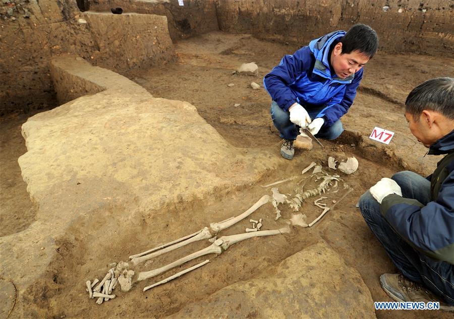 Archaeologists work at the excavation site of the Neolithic site at the ruins of the Longgang Temple paleoanthropological site in Hanzhong City, north China's Shaanxi Province, Nov. 24, 2015.