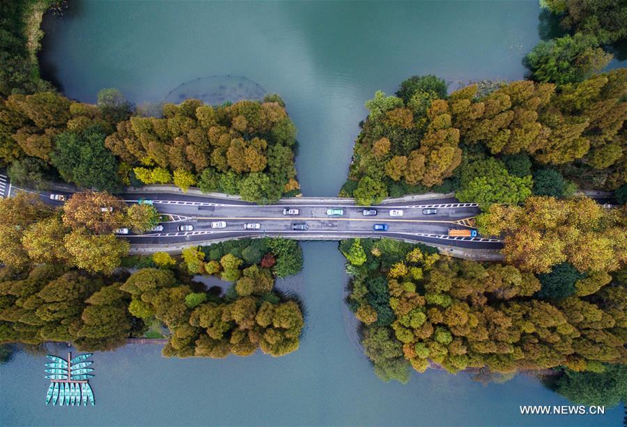 CHINA-HANGZHOU-AUTUMN SCENERY(CN)