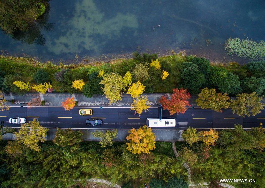 CHINA-HANGZHOU-AUTUMN SCENERY(CN)