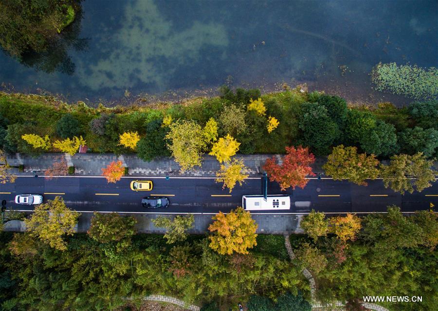 CHINA-HANGZHOU-AUTUMN SCENERY(CN)