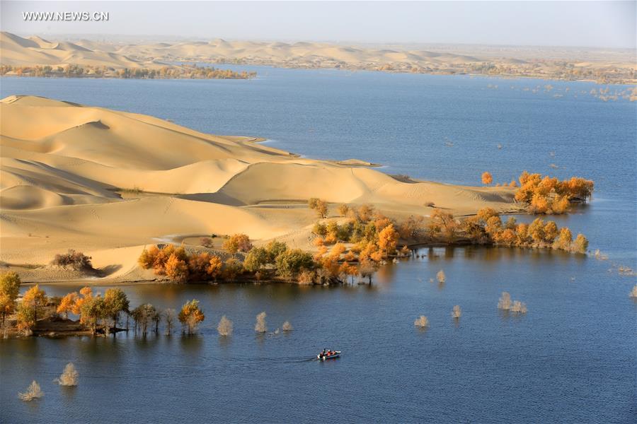 #CHINA-XINJIANG-DESERT POPLAR-SCENERY (CN) 