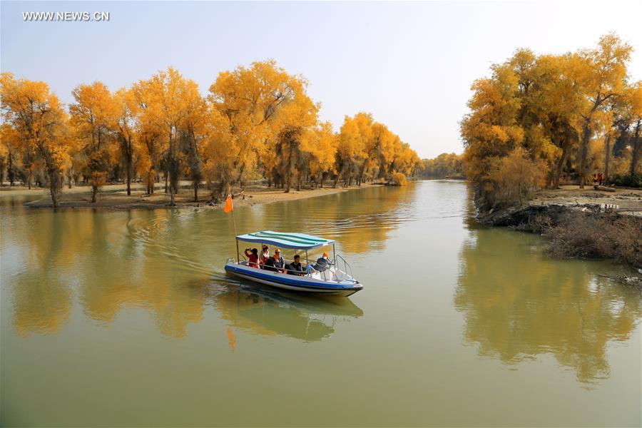 #CHINA-XINJIANG-DESERT POPLAR-SCENERY (CN) 