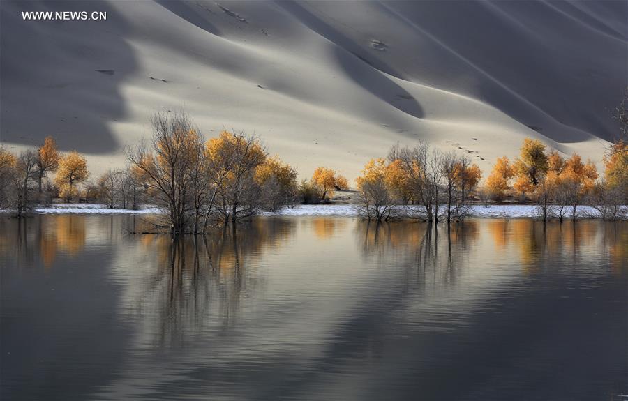 #CHINA-XINJIANG-DESERT POPLAR-SCENERY (CN) 