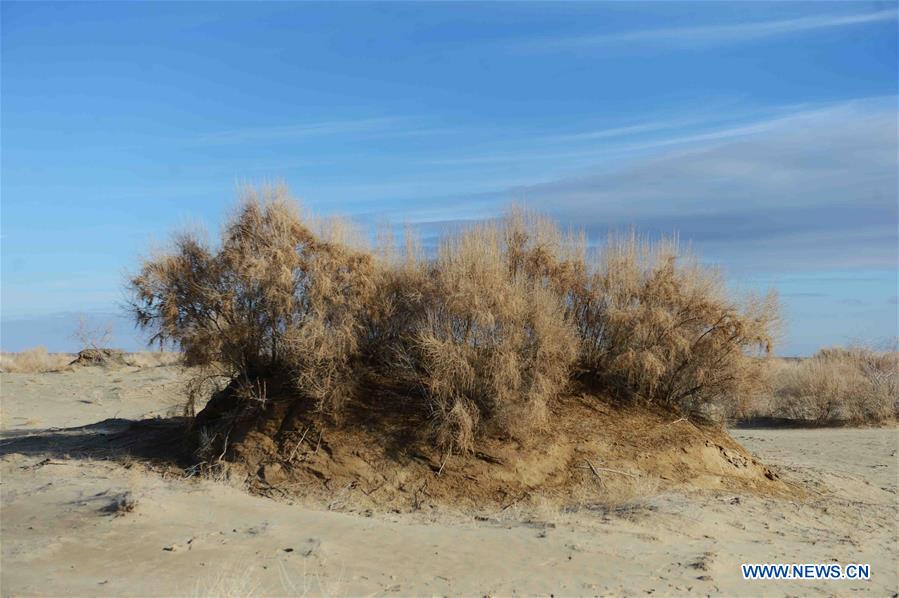 Photo taken on Dec. 7, 2015 shows an abandoned ship at Moynak in the Aral Sea, Uzbekistan.