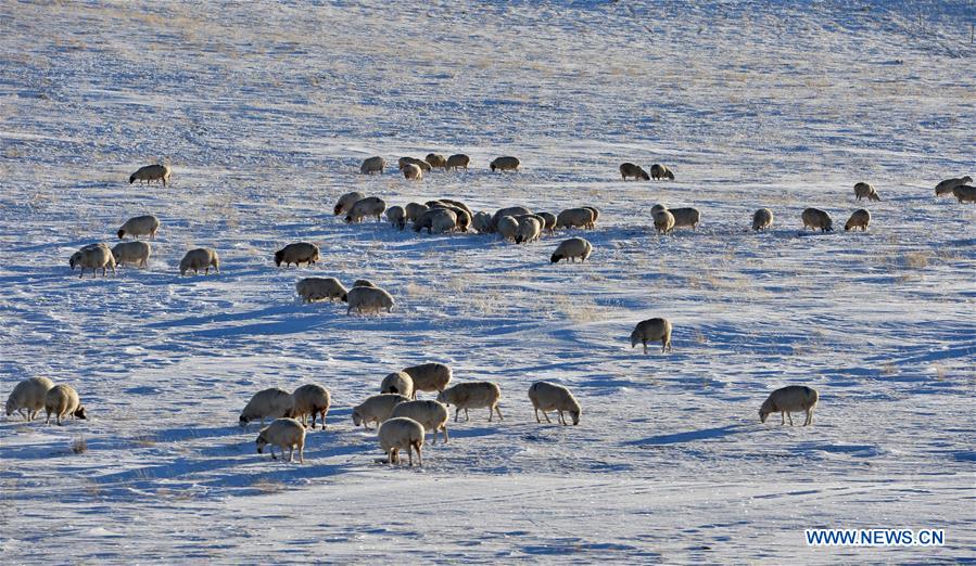 CHINA-INNER MONGOLIA-XILINGOL-SNOW (CN)