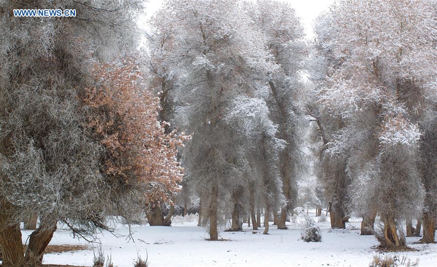 #CHINA-XINJIANG-RIME SCENERY (CN)