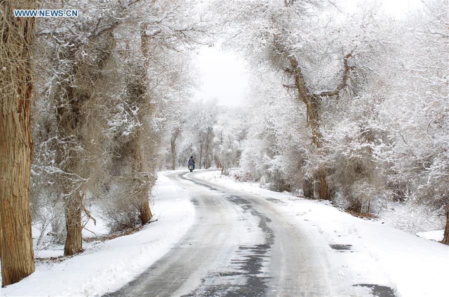 #CHINA-XINJIANG-RIME SCENERY (CN)