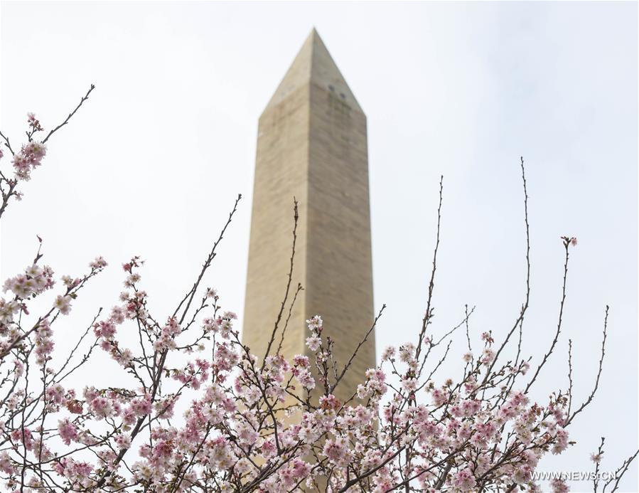 U.S.-WASHINGTON D.C.-WINTER-SPRING SCENERY