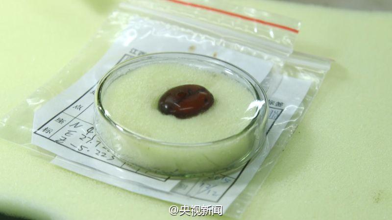 猜成语粥米是什么成语_疯狂猜成语一碗粥旁边有一群和尚是什么成语(3)