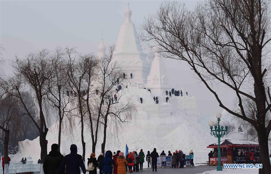 Snow sculptors work on a snow sculpture, which will be the highest in the world, in Taiyangdao, a small island in Harbin, northeast China's Heilongjiang Province, Dec. 24, 2015. 