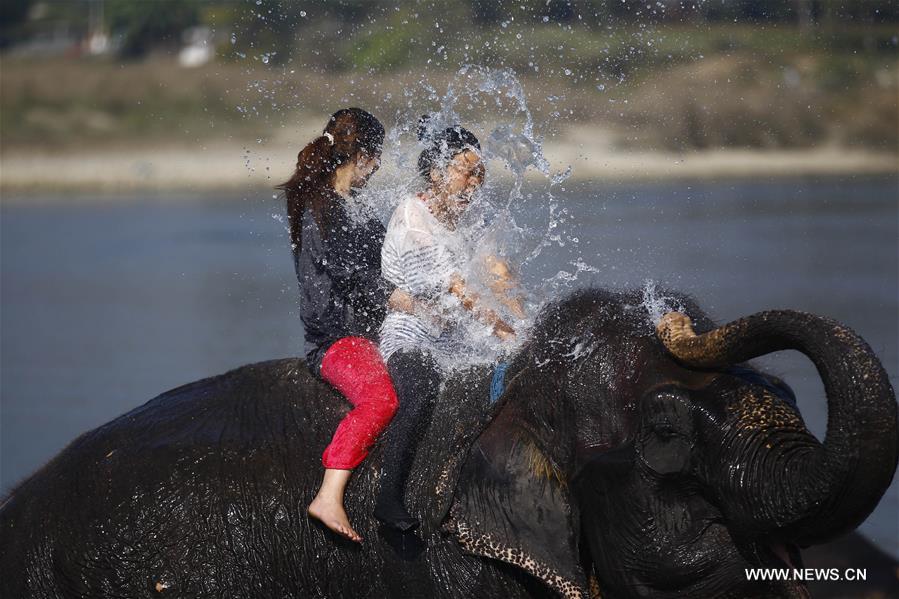 NEPAL-CHITWAN-SAURAHA-ELEPHANT-BATH