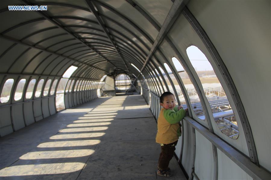 #CHINA-HENAN-FARMER-PLANE MODEL (CN)
