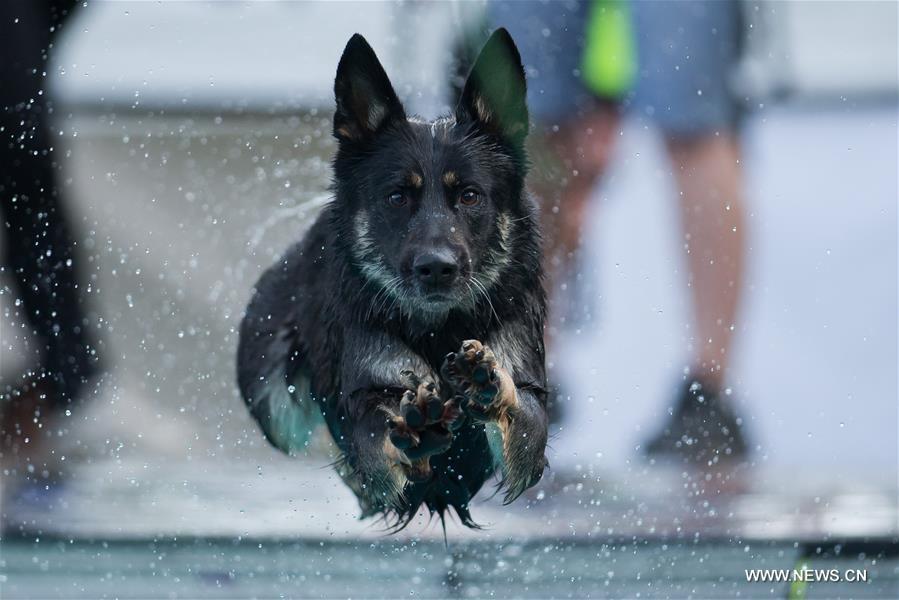 XINHUA WORLD PHOTOS OF THE YEAR