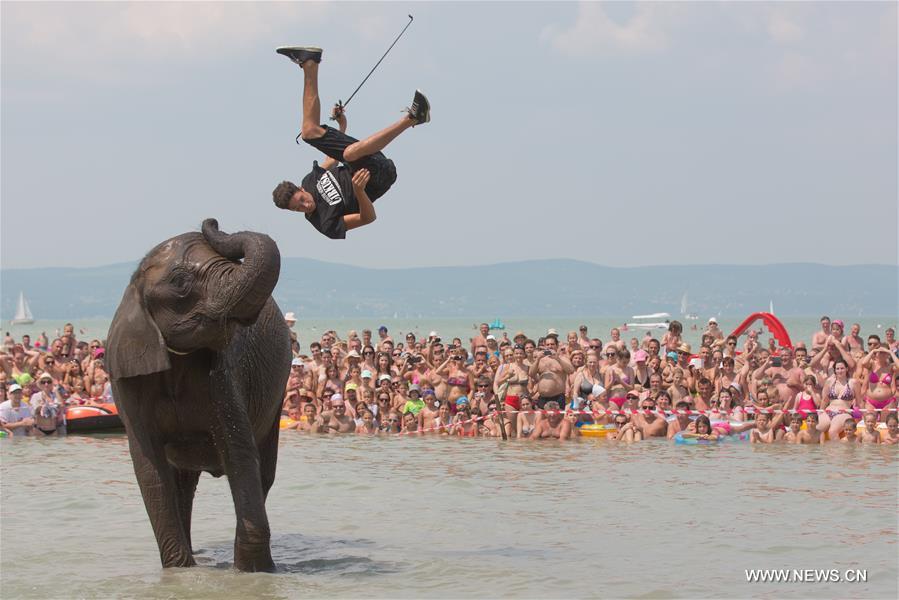 XINHUA WORLD PHOTOS OF THE YEAR