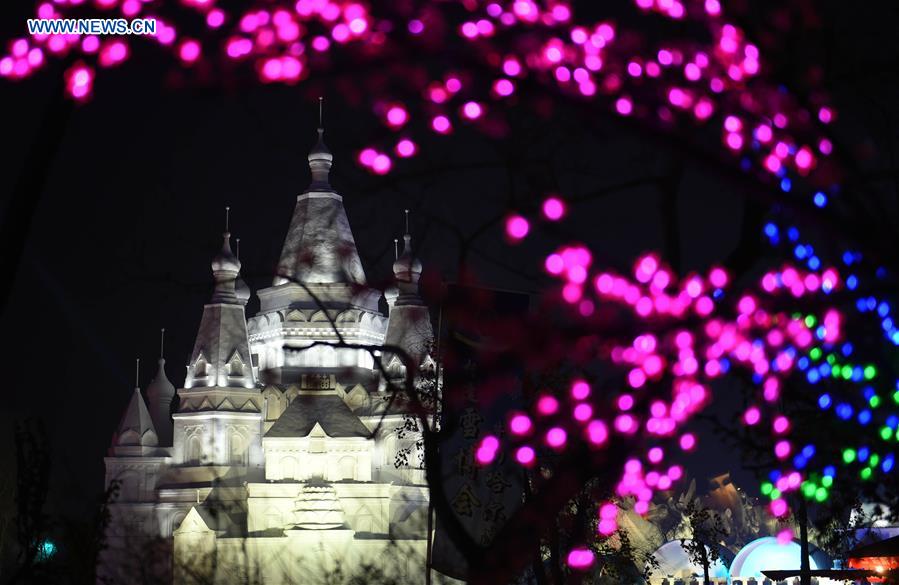 CHINA-HARBIN-SNOW EXPO-NIGHT VIEW (CN)