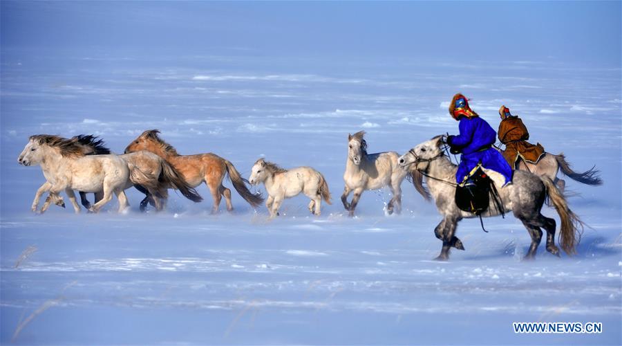 WEST UJIMQIN BANNER, Jan. 5, 2016 (Xinhua) -- Herdsmen lasso horses in West Ujimqin Banner, north China's Inner Mongolia Autonomous Region, Jan. 5, 2016. (Xinhua/Ren Junchuan)