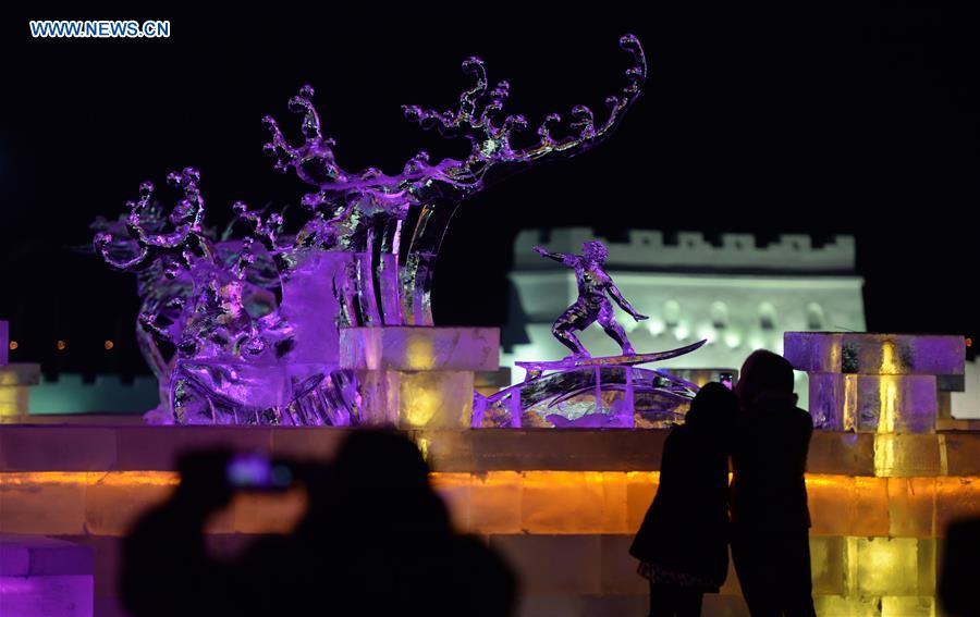 CHINA-HARBIN-ICE AND SNOW-FESTIVAL(CN)