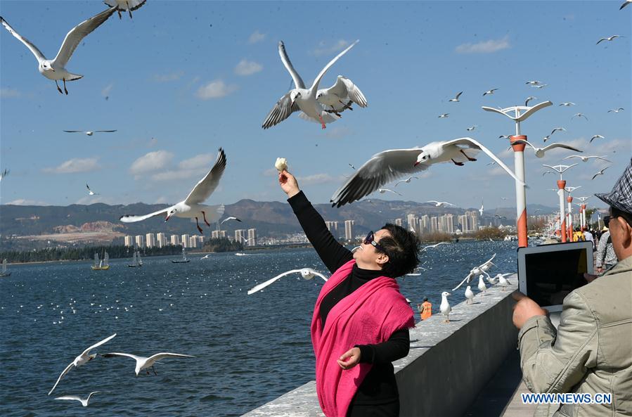 CHINA-KUNMING-DIANCHI LAKE-SCENERY(CN)