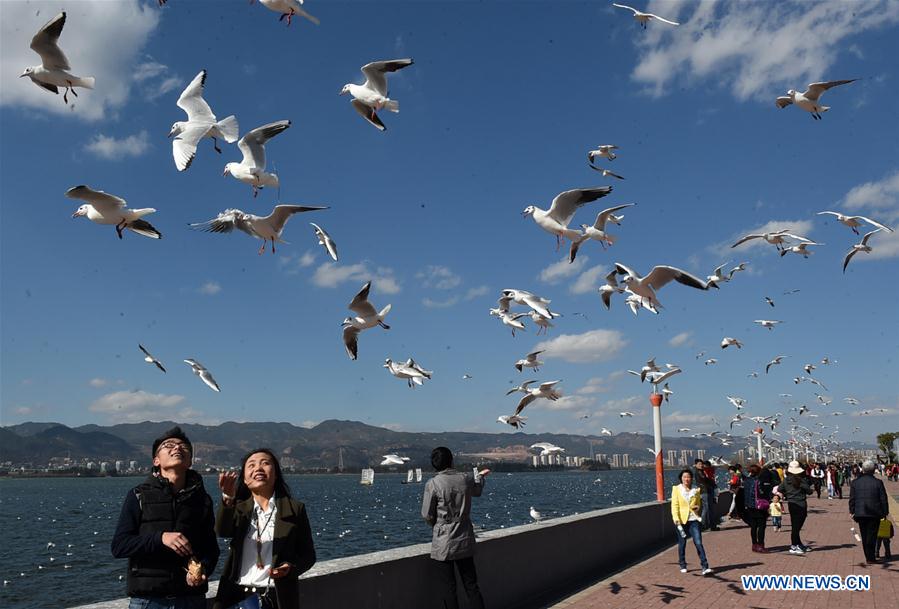 CHINA-KUNMING-DIANCHI LAKE-SCENERY(CN)
