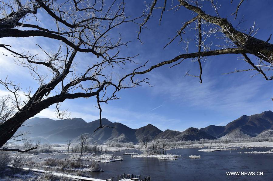 CHINA-HUBEI-SHENLONGJIA-WETLANDS (CN)