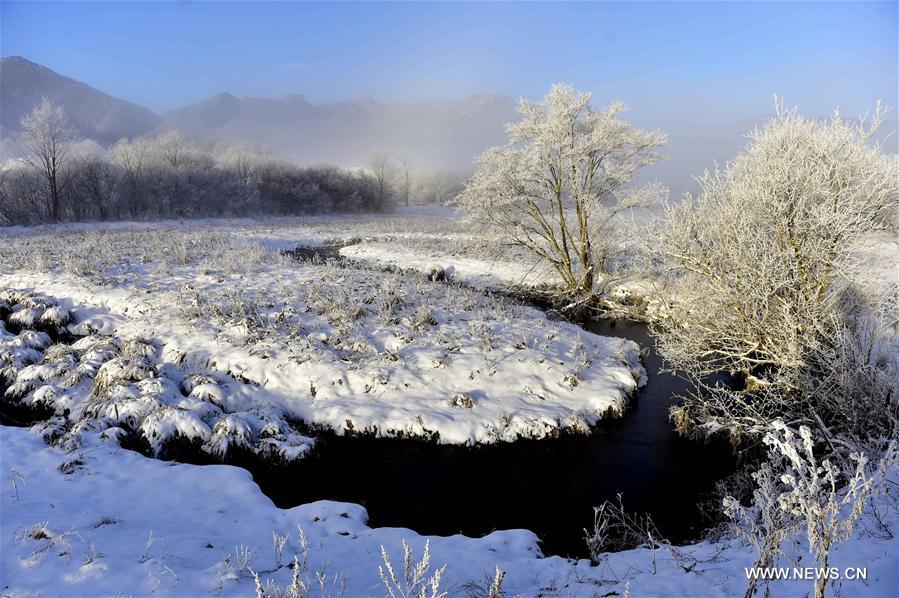 CHINA-HUBEI-SHENLONGJIA-WETLANDS (CN)