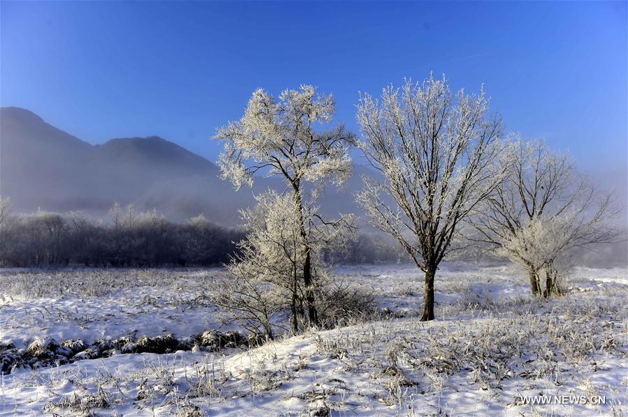 CHINA-HUBEI-SHENLONGJIA-WETLANDS (CN)