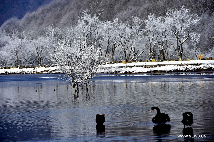 CHINA-HUBEI-SHENLONGJIA-WETLANDS (CN)