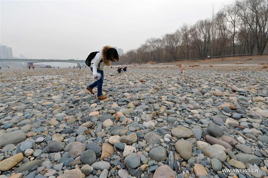 CHINA-LANZHOU-YELLOW RIVER-PEBBLE (CN)