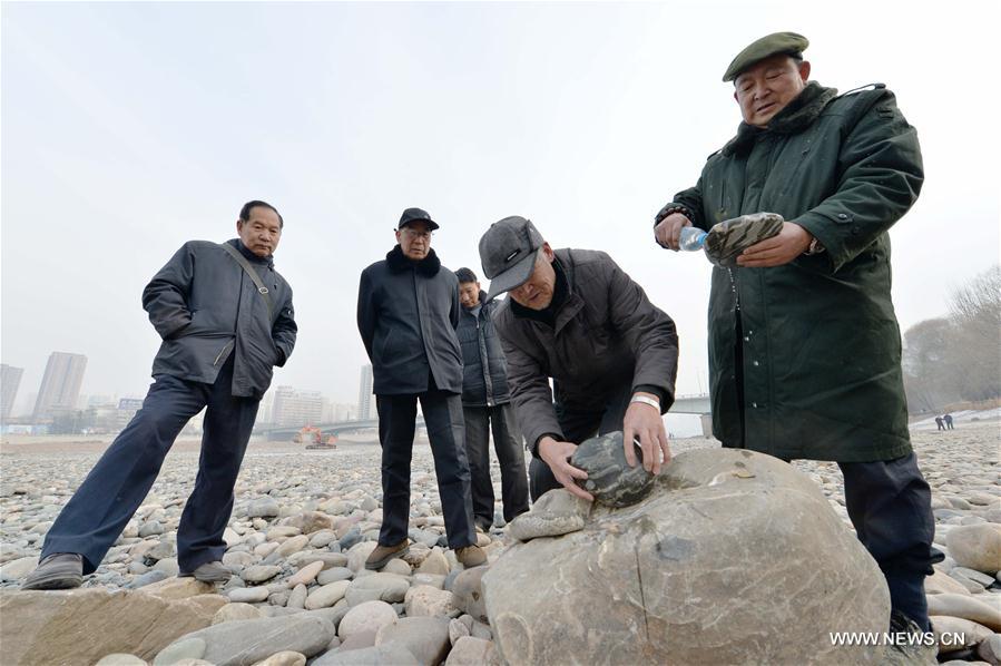 CHINA-LANZHOU-YELLOW RIVER-PEBBLE (CN)