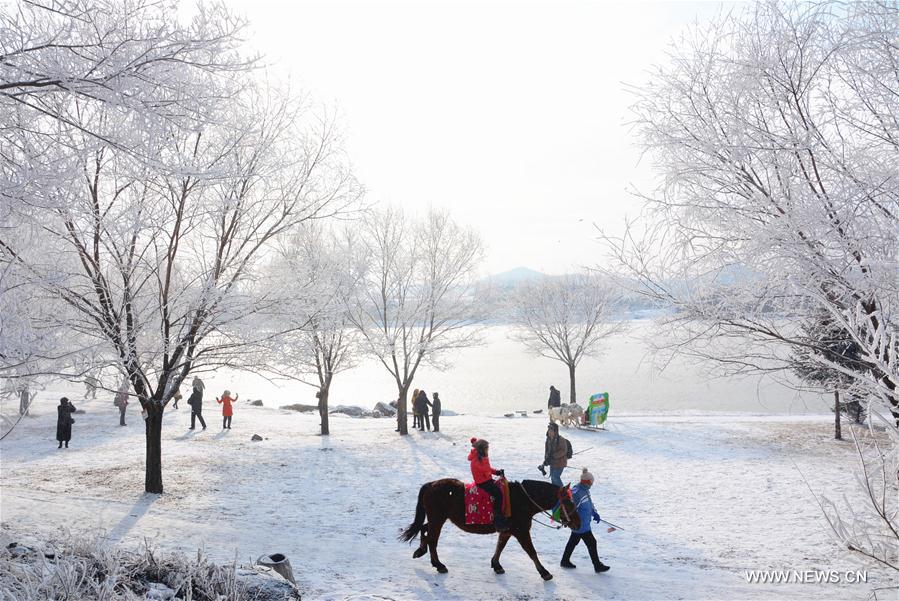 #CHINA-JILIN-RIME(CN)