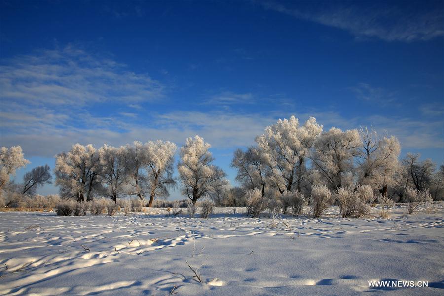 #CHINA-XINJIANG-ALTAY-RIME(CN)