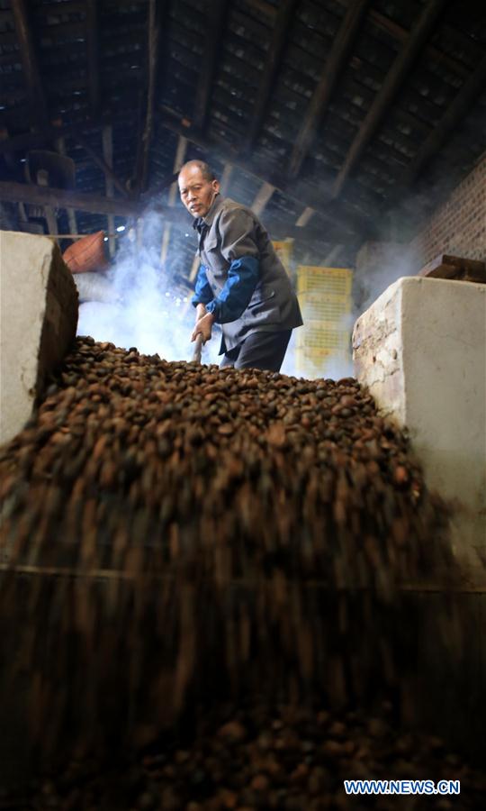 #CHINA-GUANGXI-LIUZHOU-BANLAN TOWN-TEA OIL(CN)