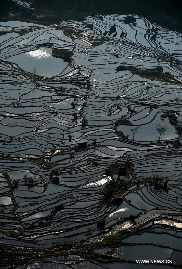 The UNESCO's World Heritage Committee inscribed cultural landscape of Honghe Hani Rice Terraces onto the prestigious World Heritage List in 2013