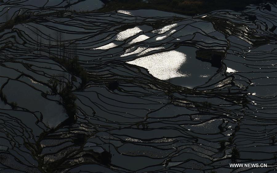 The UNESCO's World Heritage Committee inscribed cultural landscape of Honghe Hani Rice Terraces onto the prestigious World Heritage List in 2013