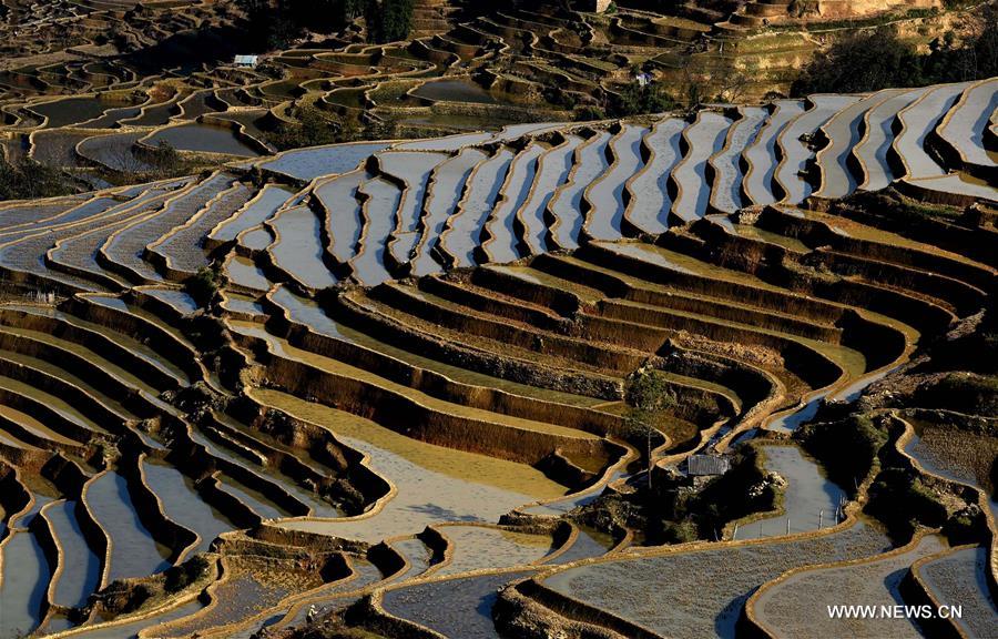 The UNESCO's World Heritage Committee inscribed cultural landscape of Honghe Hani Rice Terraces onto the prestigious World Heritage List in 2013