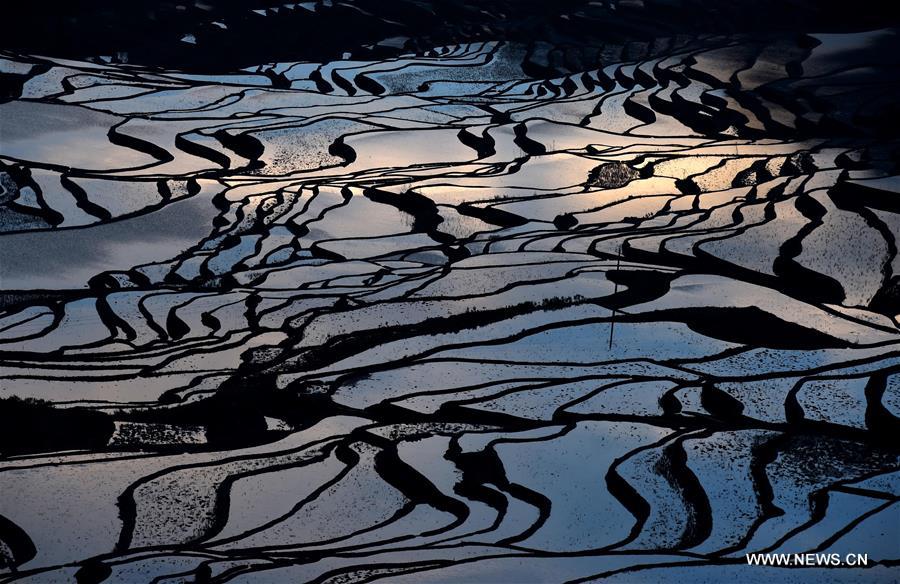 The UNESCO's World Heritage Committee inscribed cultural landscape of Honghe Hani Rice Terraces onto the prestigious World Heritage List in 2013