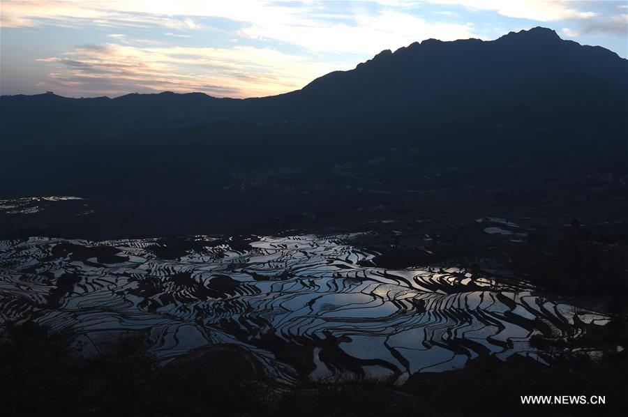 The UNESCO's World Heritage Committee inscribed cultural landscape of Honghe Hani Rice Terraces onto the prestigious World Heritage List in 2013