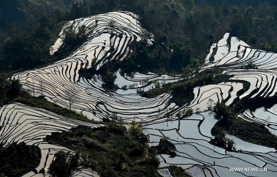 The UNESCO's World Heritage Committee inscribed cultural landscape of Honghe Hani Rice Terraces onto the prestigious World Heritage List in 2013