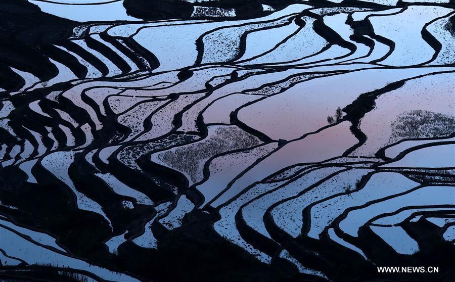 The UNESCO's World Heritage Committee inscribed cultural landscape of Honghe Hani Rice Terraces onto the prestigious World Heritage List in 2013