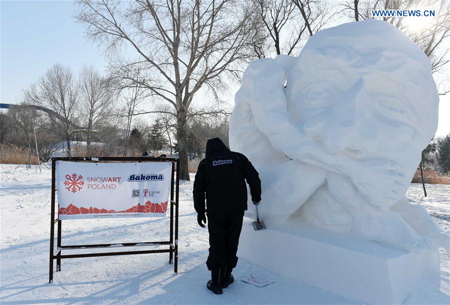  A Polish contestant makes a snow sculpture in Harbin, capital of northeast China's Heilongjiang Province, Jan. 13, 2016.