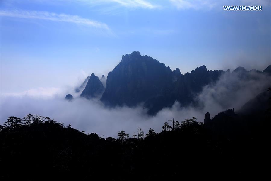 Photo taken on Jan. 13, 2016 shows the sea of clouds after a snowfall at the Huangshan Mountain scenic spot in Huangshan City, east China's Anhui Province.