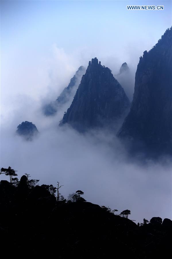 Photo taken on Jan. 13, 2016 shows the sea of clouds after a snowfall at the Huangshan Mountain scenic spot in Huangshan City, east China's Anhui Province. 