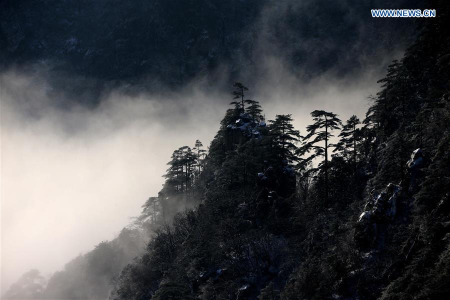Photo taken on Jan. 13, 2016 shows the sea of clouds after a snowfall at the Huangshan Mountain scenic spot in Huangshan City, east China's Anhui Province.