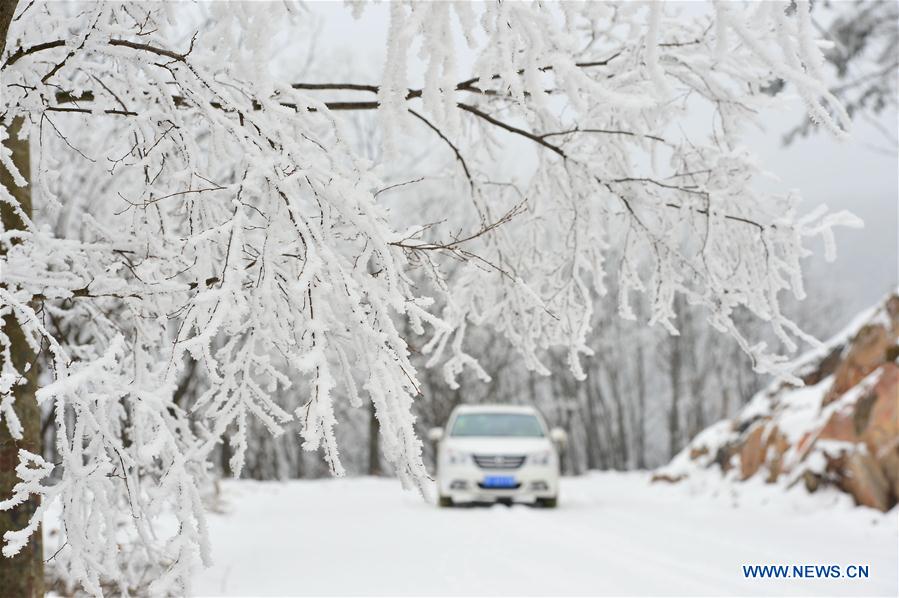 Photo taken on Jan. 13, 2016 shows the rime scenery at Longping Township of Baokang County in Xiangyang City, central China's Hubei Province.