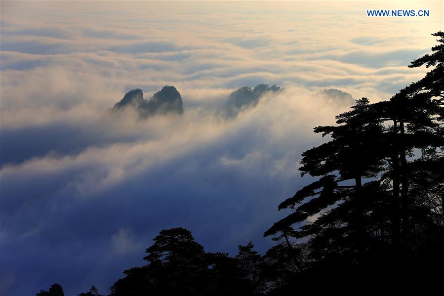 Photo taken on Jan. 13, 2016 shows the sea of clouds after a snowfall at the Huangshan Mountain scenic spot in Huangshan City, east China's Anhui Province. 