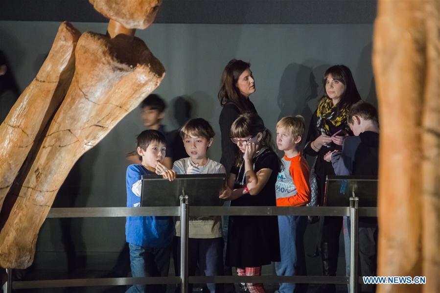 School children look at the 'Titanosaur' skeleton exibition in the American Museum of Natural History in New York, the United States, Jan. 14, 2016.