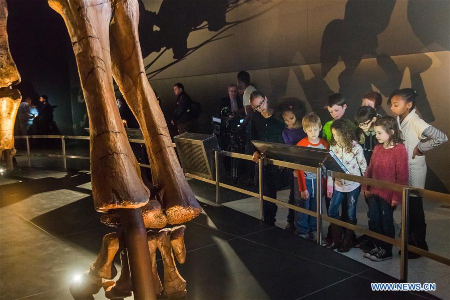 School children look at the 'Titanosaur' skeleton exibition in the American Museum of Natural History in New York, the United States, Jan. 14, 2016. 